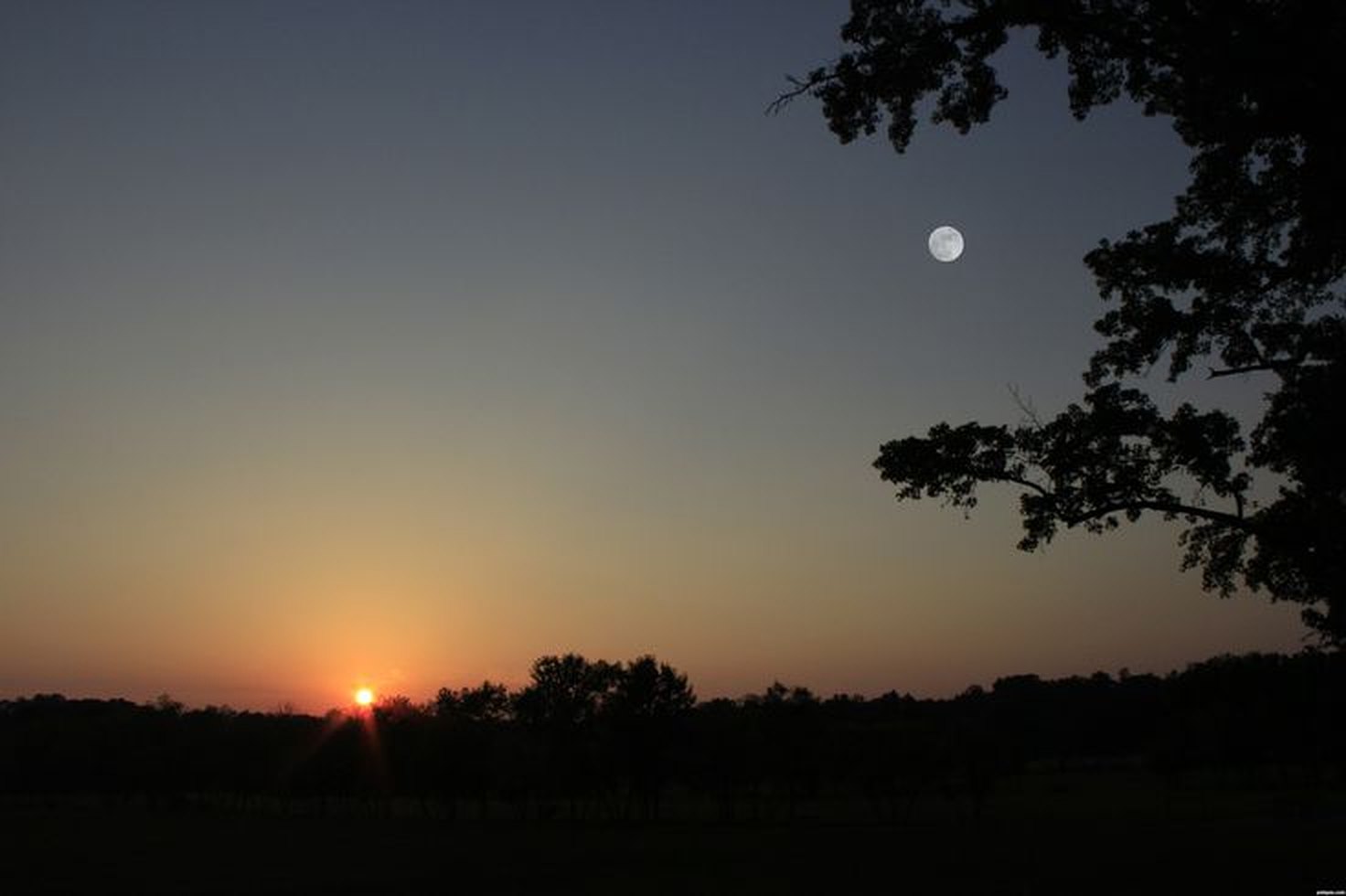 The sun setting on one side of the sky and the moon already up on the other.